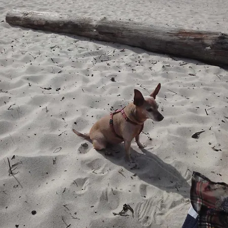 Und Waldhaus Ostseeperle *