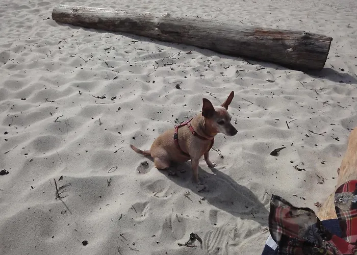 Und Waldhaus Ostseeperle *