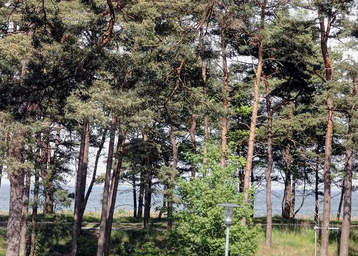 Tatil Evi Und Waldhaus Ostseeperle